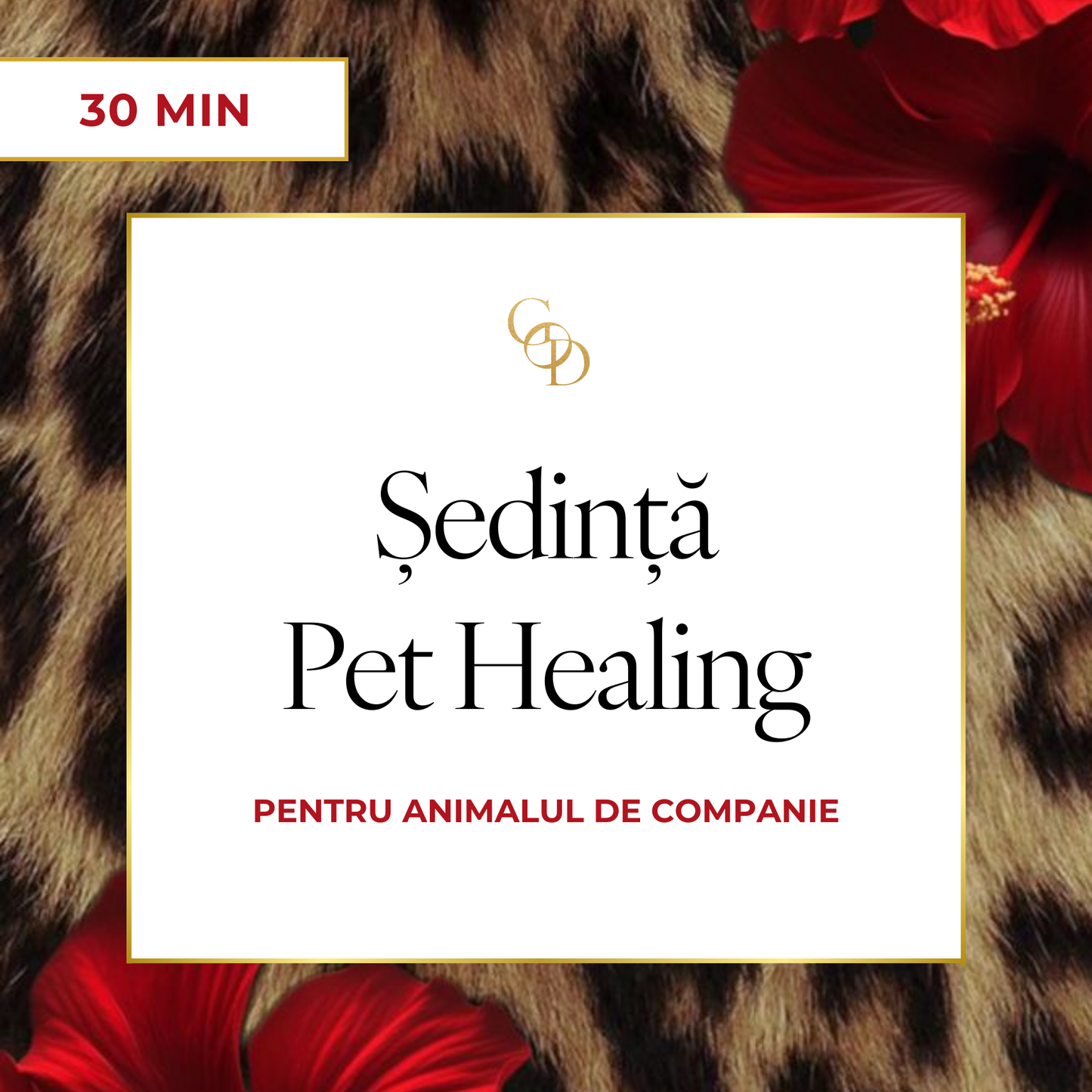 Sedinta PET HEALING pentru animalul tau de companie
