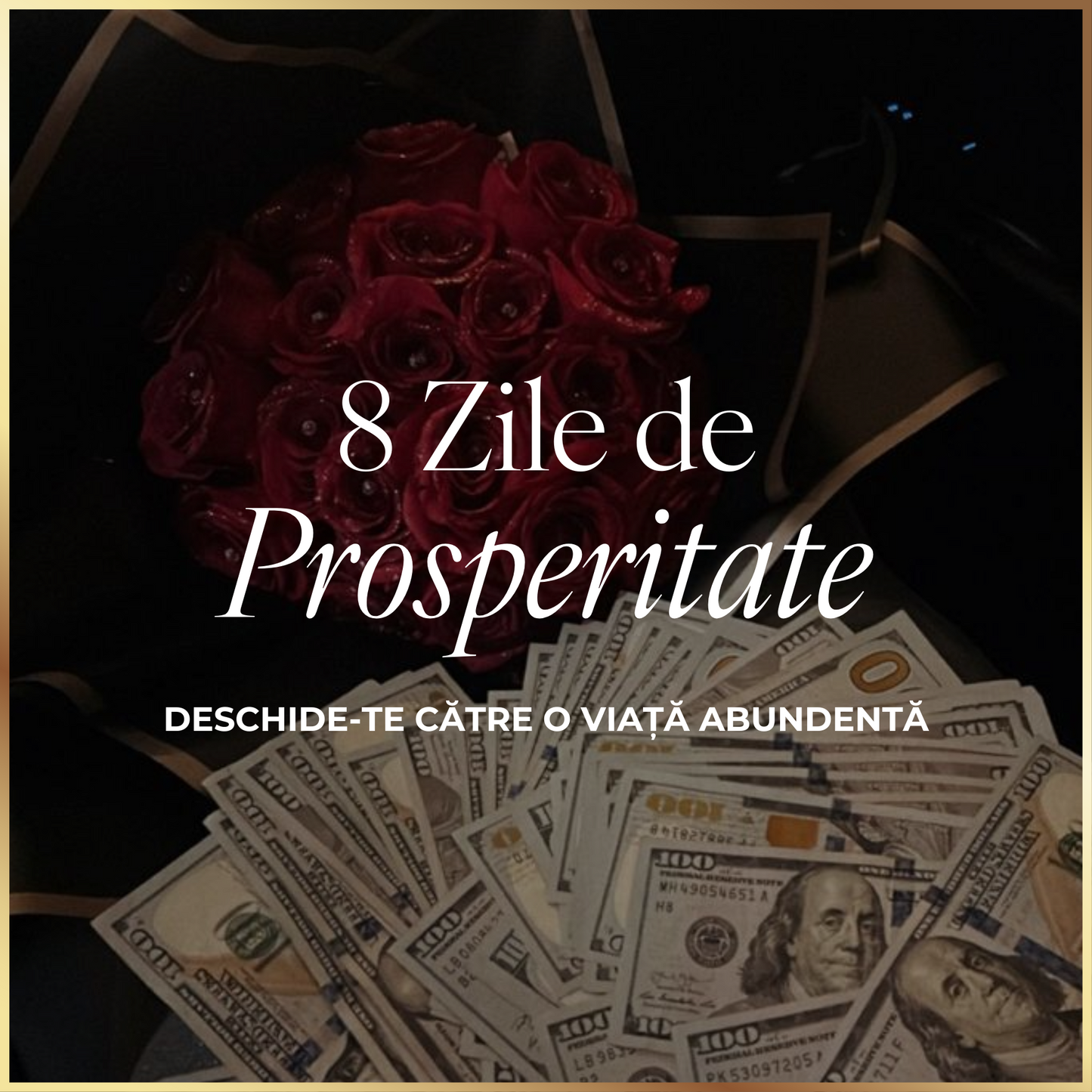 Curs 8 Zile de Prosperitate