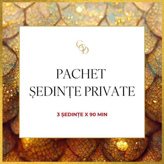 Pachet 3 Ședințe Private - 90 de minute